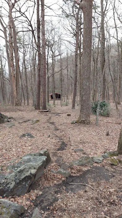 Jones Creek Campground 1