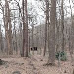 Jones Creek Campground