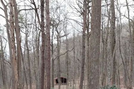 Jones Creek Campground