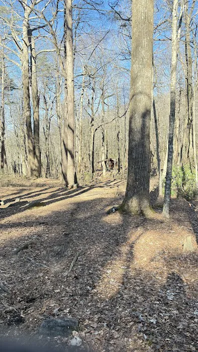 Jones Creek Campground 6