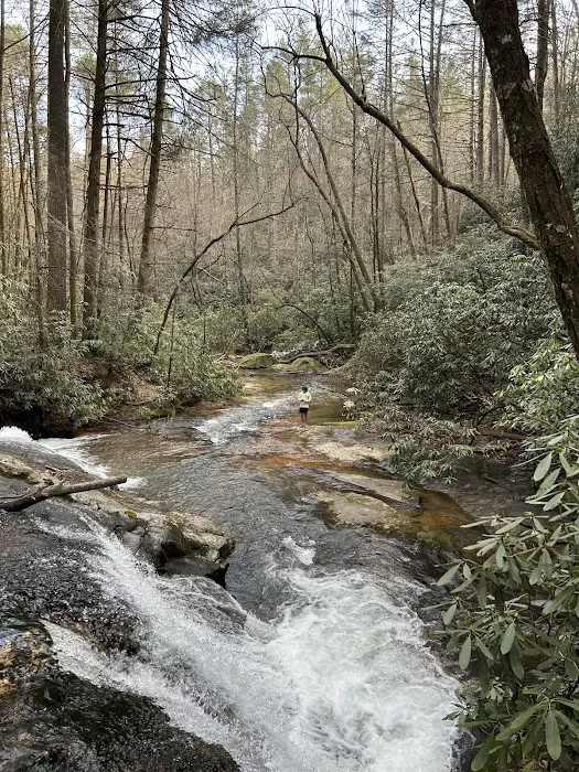 Jones Creek Campground 8
