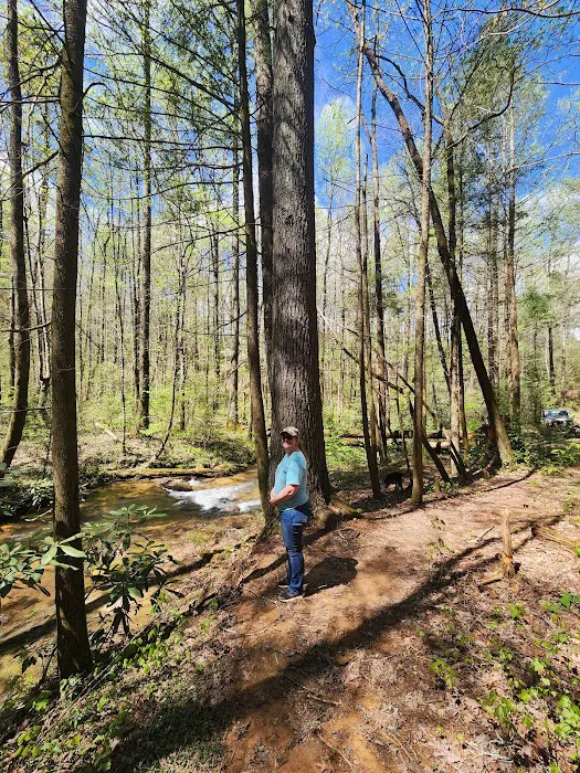 Jones Creek Campground 7