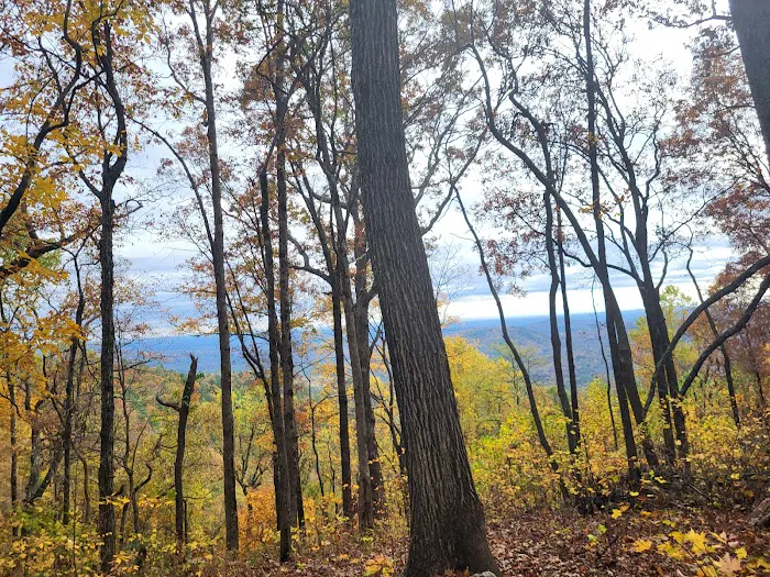 Jones Creek Campground 9
