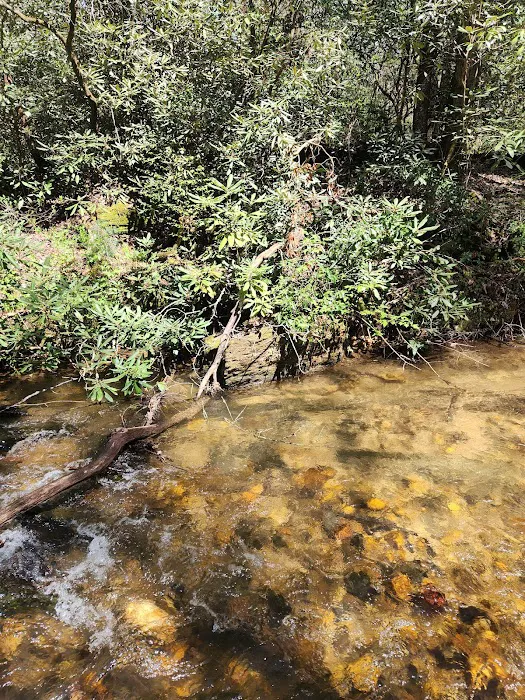 Jones Creek Campground 11