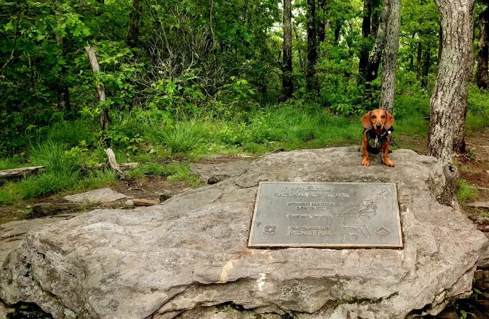 Springer Mountain Shelter 6
