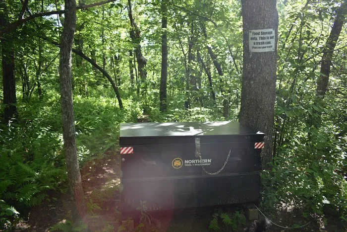 Springer Mountain Shelter 5