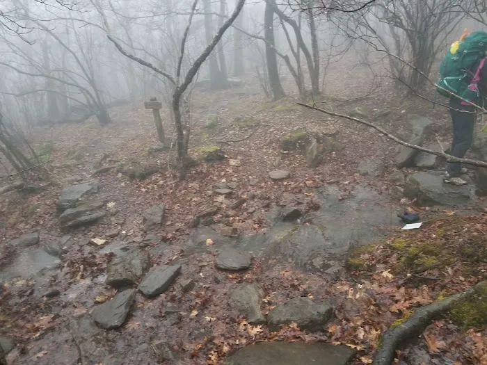 Springer Mountain Shelter 7