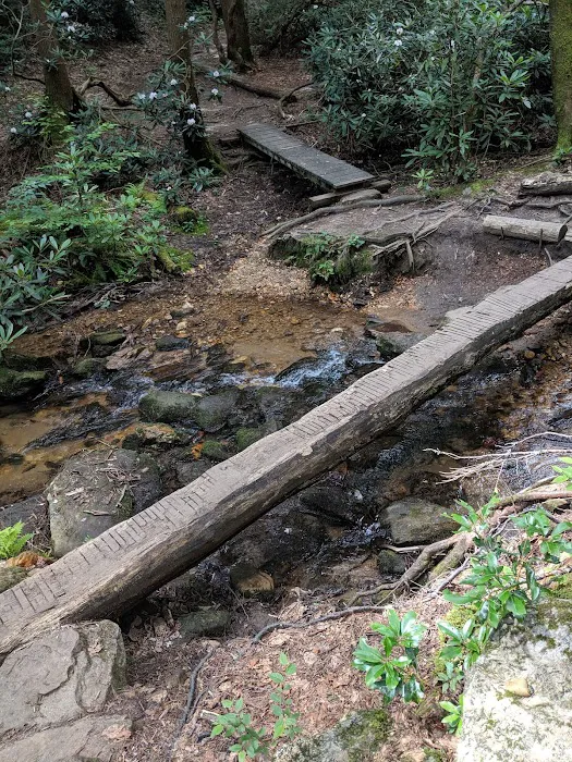 Stover Creek Shelter 3