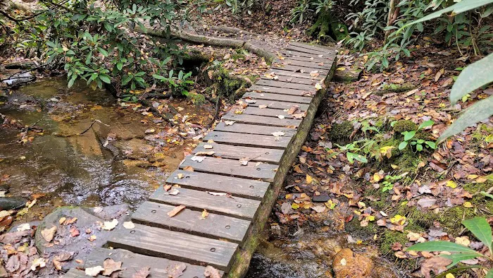 Stover Creek Shelter 5