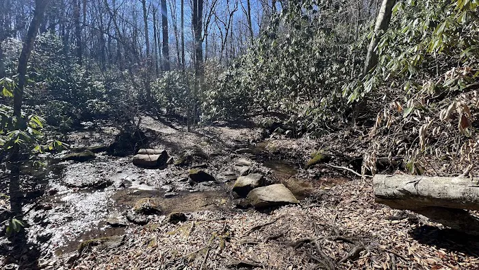 Stover Creek Shelter 7