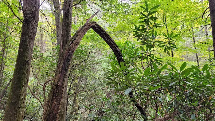Stover Creek Shelter 8