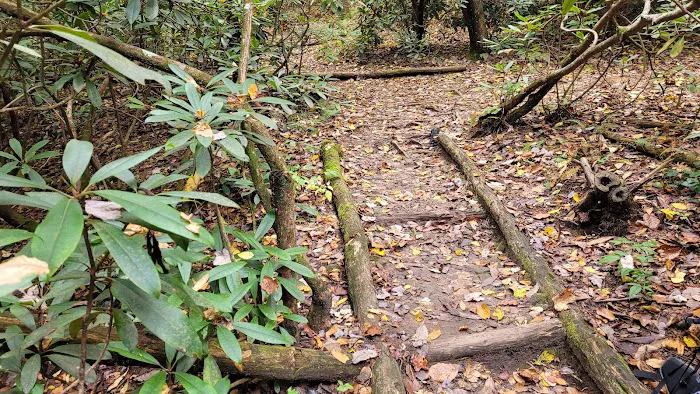 Stover Creek Shelter 9