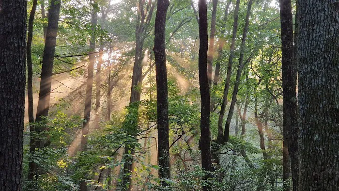Stover Creek Shelter 10