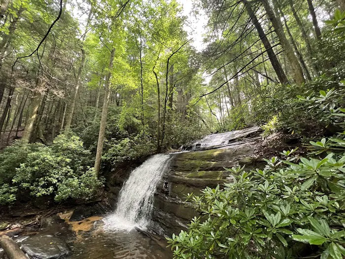 Three Forks USFS 58 4.3 1