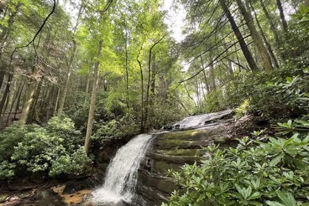Three Forks USFS 58 4.3