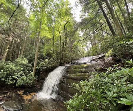 Three Forks USFS 58 4.3