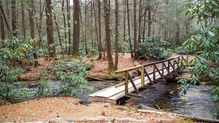 Three Forks USFS 58 4.3 3
