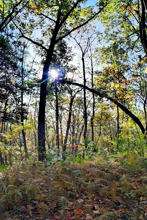 Three Forks USFS 58 4.3 7