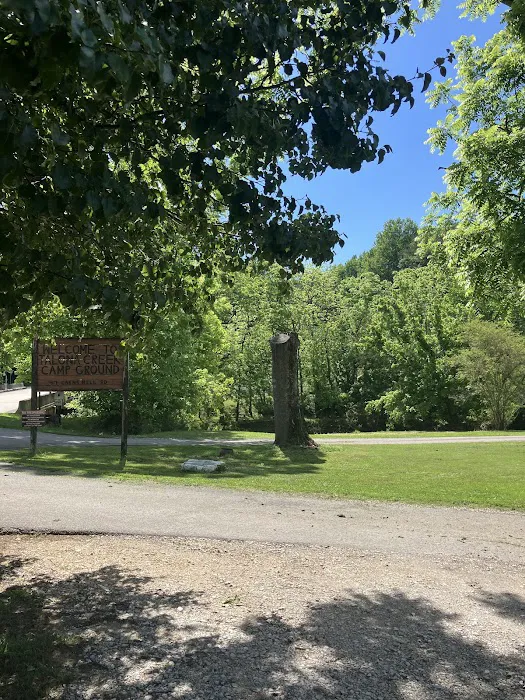 Talona Creek Campground 1