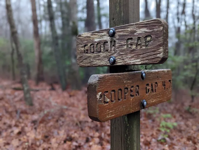 Gooch Mountain Shelter 1