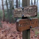 Gooch Mountain Shelter