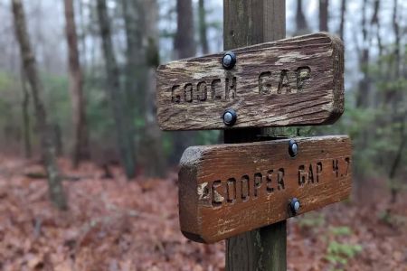 Gooch Mountain Shelter