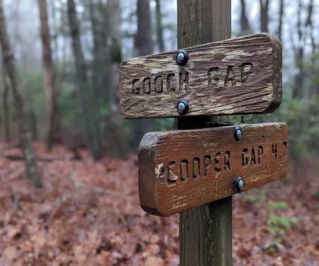 Gooch Mountain Shelter