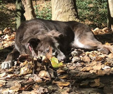 Justus Creek Campsites