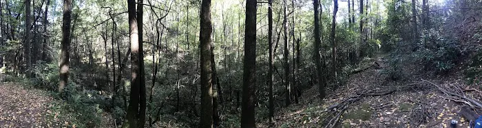 Justus Creek Campsites 5