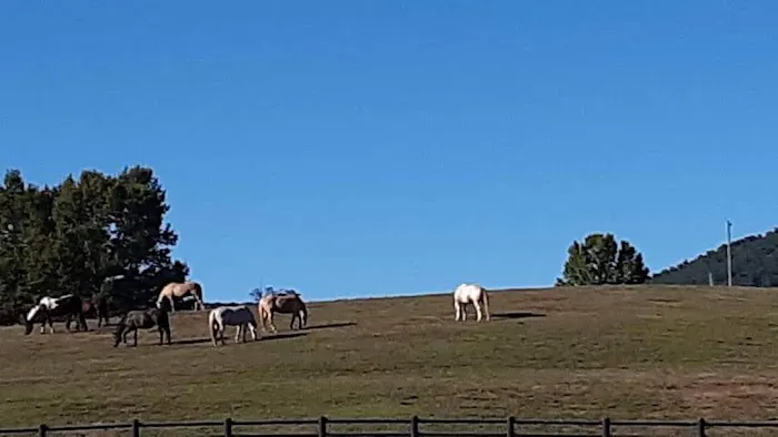 R-Ranch In the Mountains 7