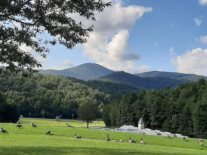 R-Ranch In the Mountains 10