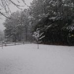 Red Top Mountain Estates