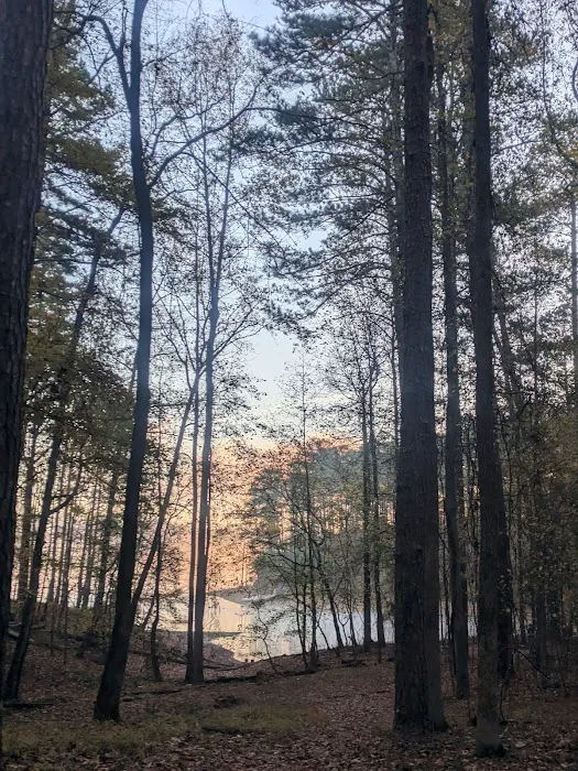 Timberline Glamping Lake Allatoona 7