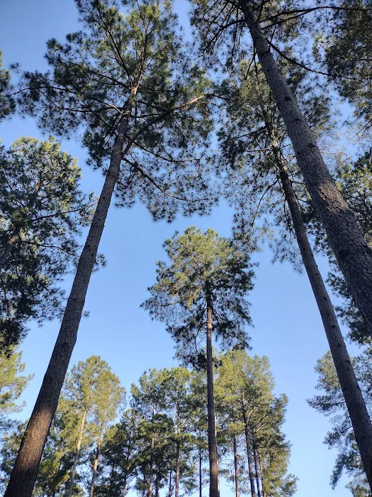 Forest Spring Family Campground 3