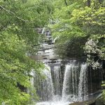 Bolt Creek RV Park