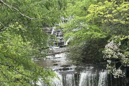 Bolt Creek RV Park