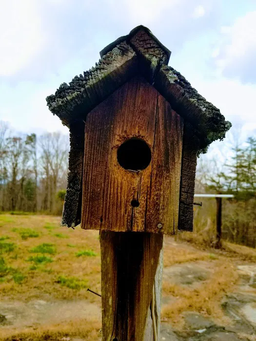 Elkmont Resort, Cleveland GA 3