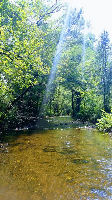 Paradise Valley Campground 3