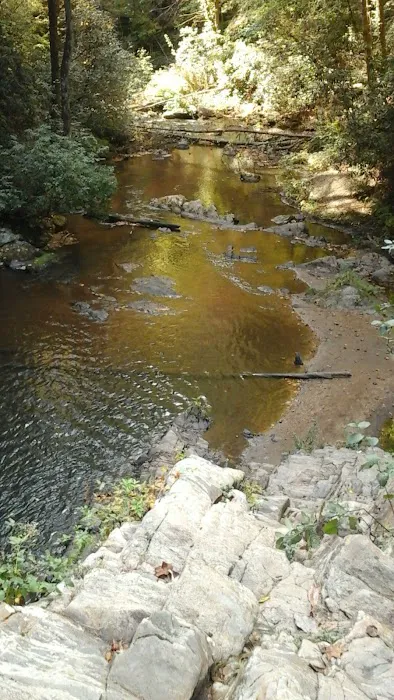 Brasstown Falls Waterfall and Camping Area 6