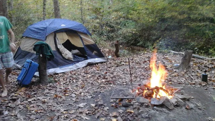 Brasstown Falls Waterfall and Camping Area 10