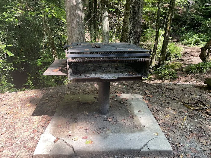 Pioneer Campground 5