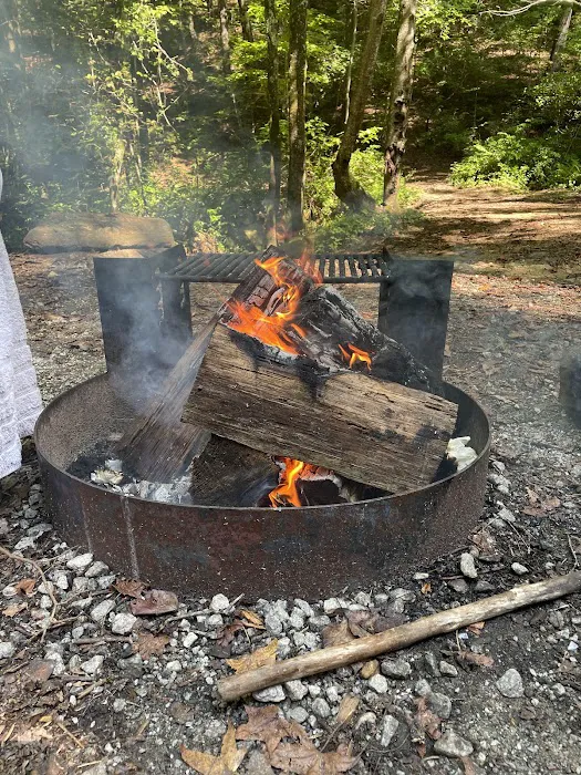 Pioneer Campground 9