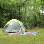 Chattooga Sounds Camp