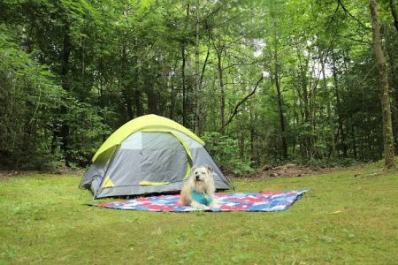 Chattooga Sounds Camp