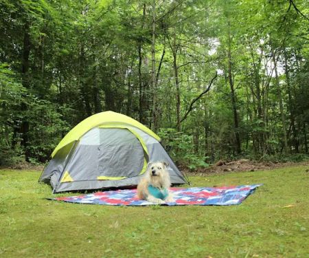 Chattooga Sounds Camp