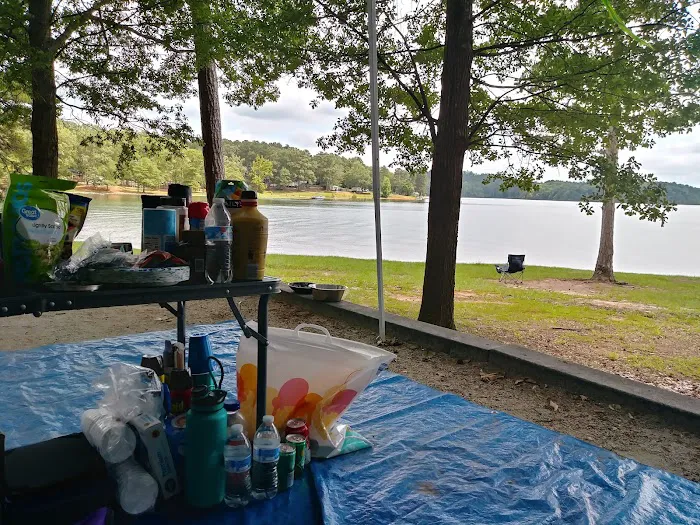 Twin Lakes Campground #47 2