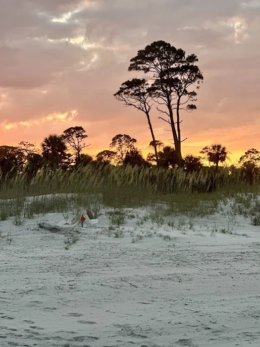 Hunting Island State Park Campground 4