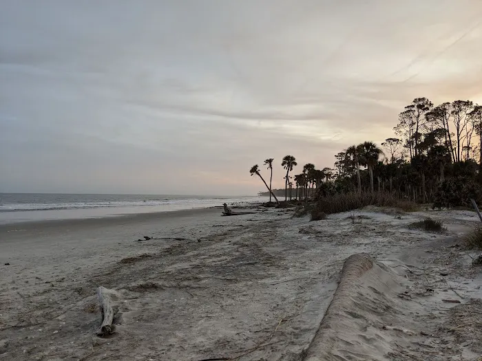 Hunting Island State Park Campground 5