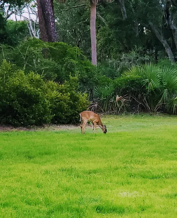 Hunting Island State Park Campground 9