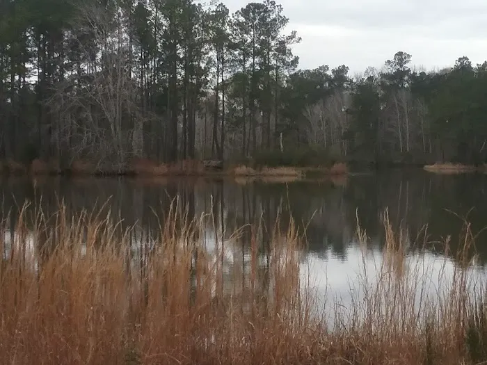 Natural Gathering Grounds 1